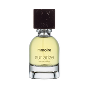 Sur Arize - Mmoire