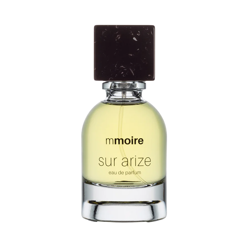 Sur Arize - Mmoire